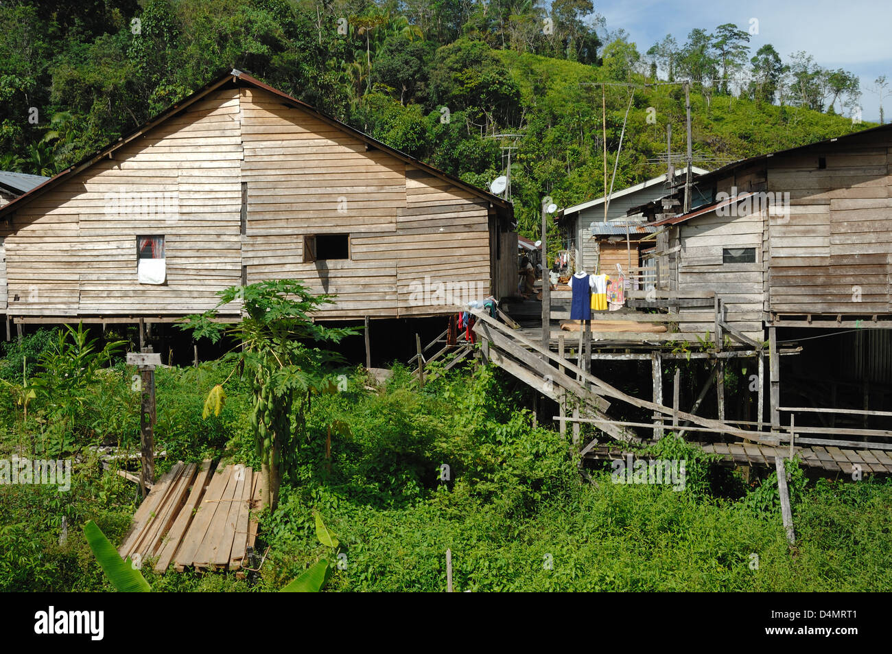 Iban Longhouse dans la pluie forêt près de Sarawak en Malaisie Bornéo Kapit Banque D'Images