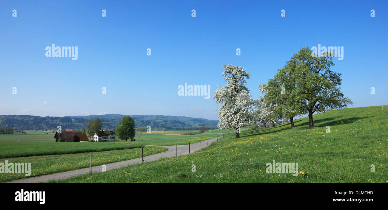 La Suisse. Canton de St-Gall. Rorschach Banque D'Images