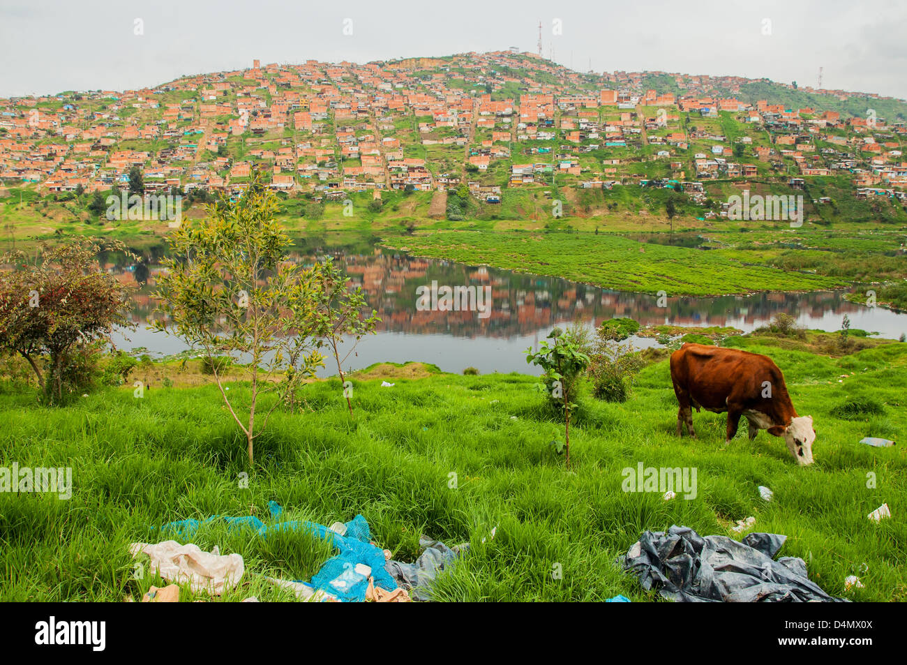 Un bidonville sur une colline dans un lac pollué Banque D'Images