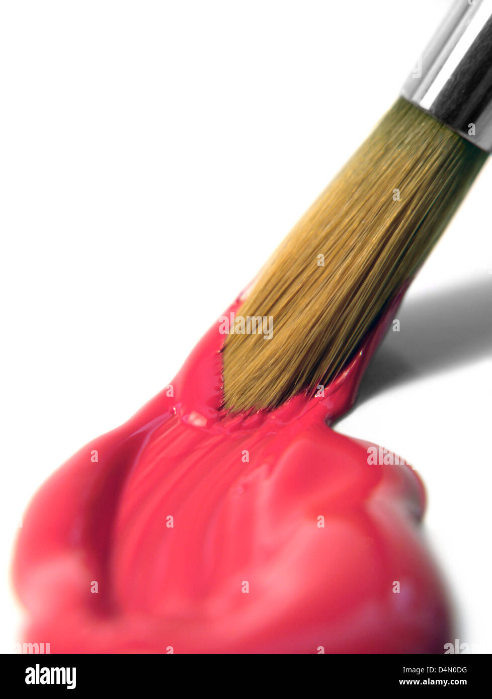 La photographie de studio de peinture rouge et une pointe du pinceau en blanc retour Banque D'Images