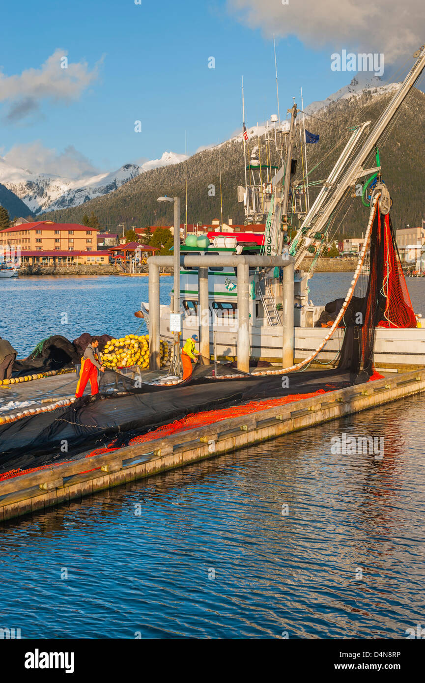 Sitka, Alaska 16 mars 2013 Préparation pour les pêcheurs senneurs de hareng rogué sac à venir. Banque D'Images