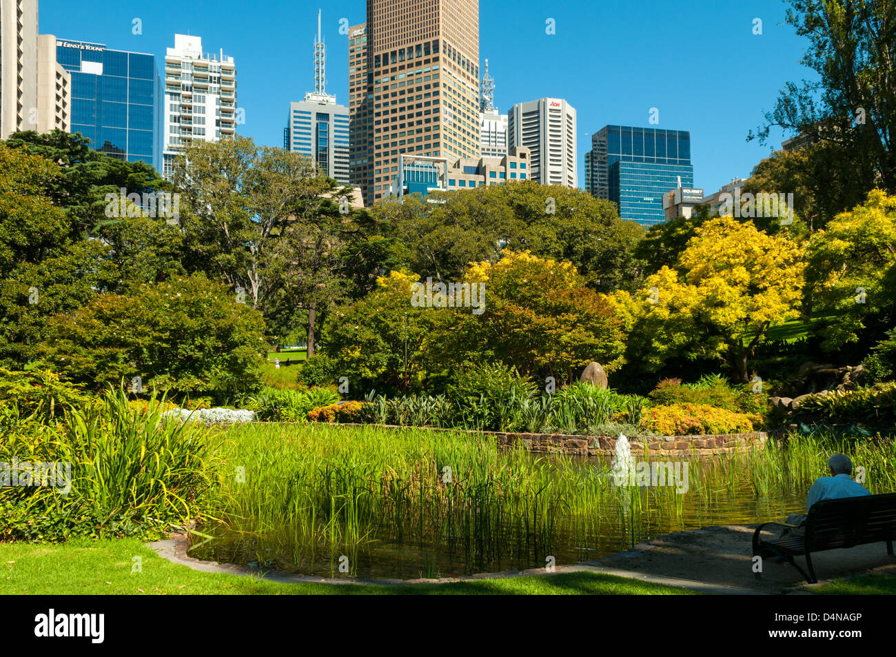 Étang idyllique dans la région de Fitzroy Gardens, Melbourne, Victoria, Australie Banque D'Images