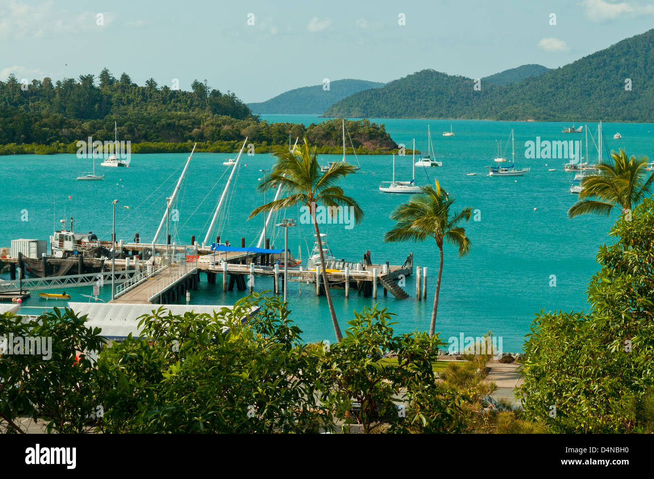 Shute Harbour, Whitsundays, Queensland, Australie Banque D'Images