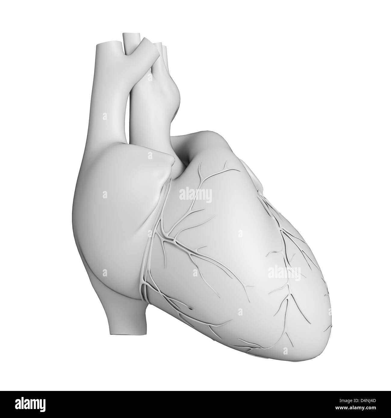 Coeur blanc Banque D'Images