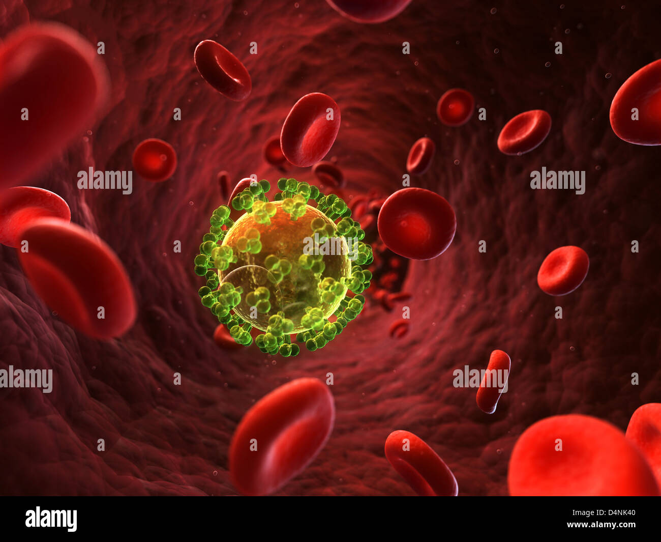 VIH - virus Banque D'Images