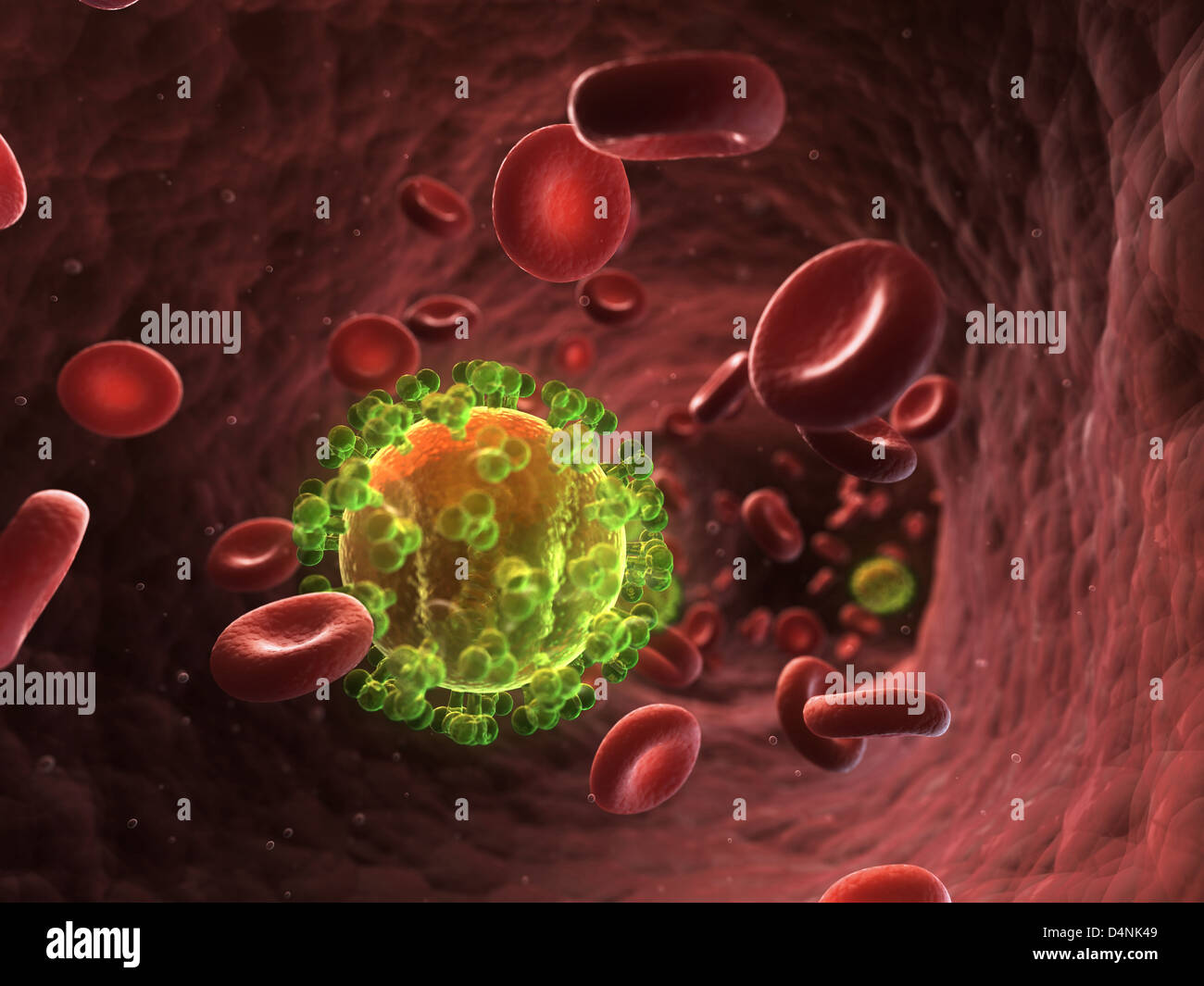 VIH - virus Banque D'Images