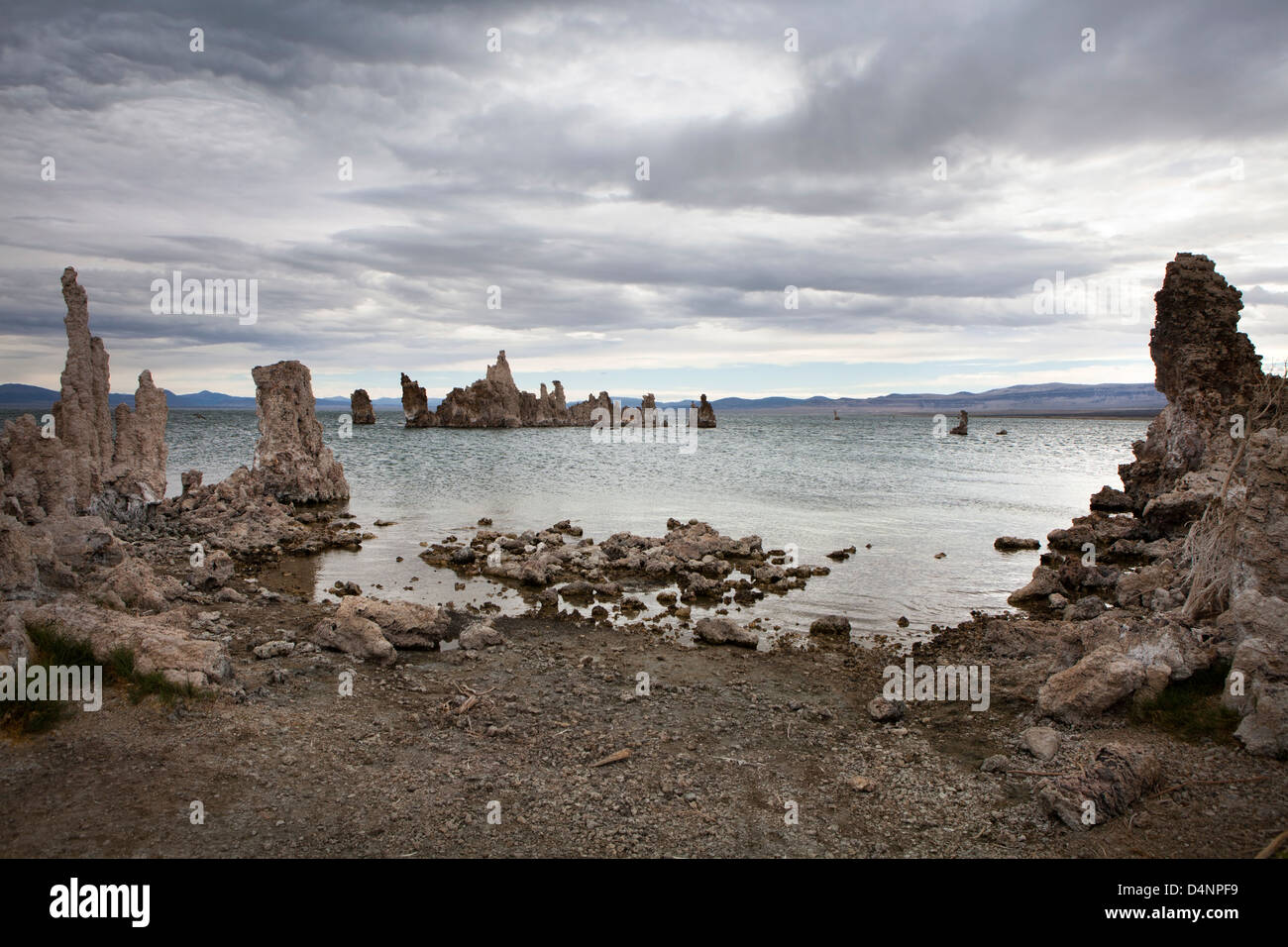 Lac Mono, l'Est de la Sierra, en Californie, États-Unis d'Amérique, Amérique du Nord Banque D'Images