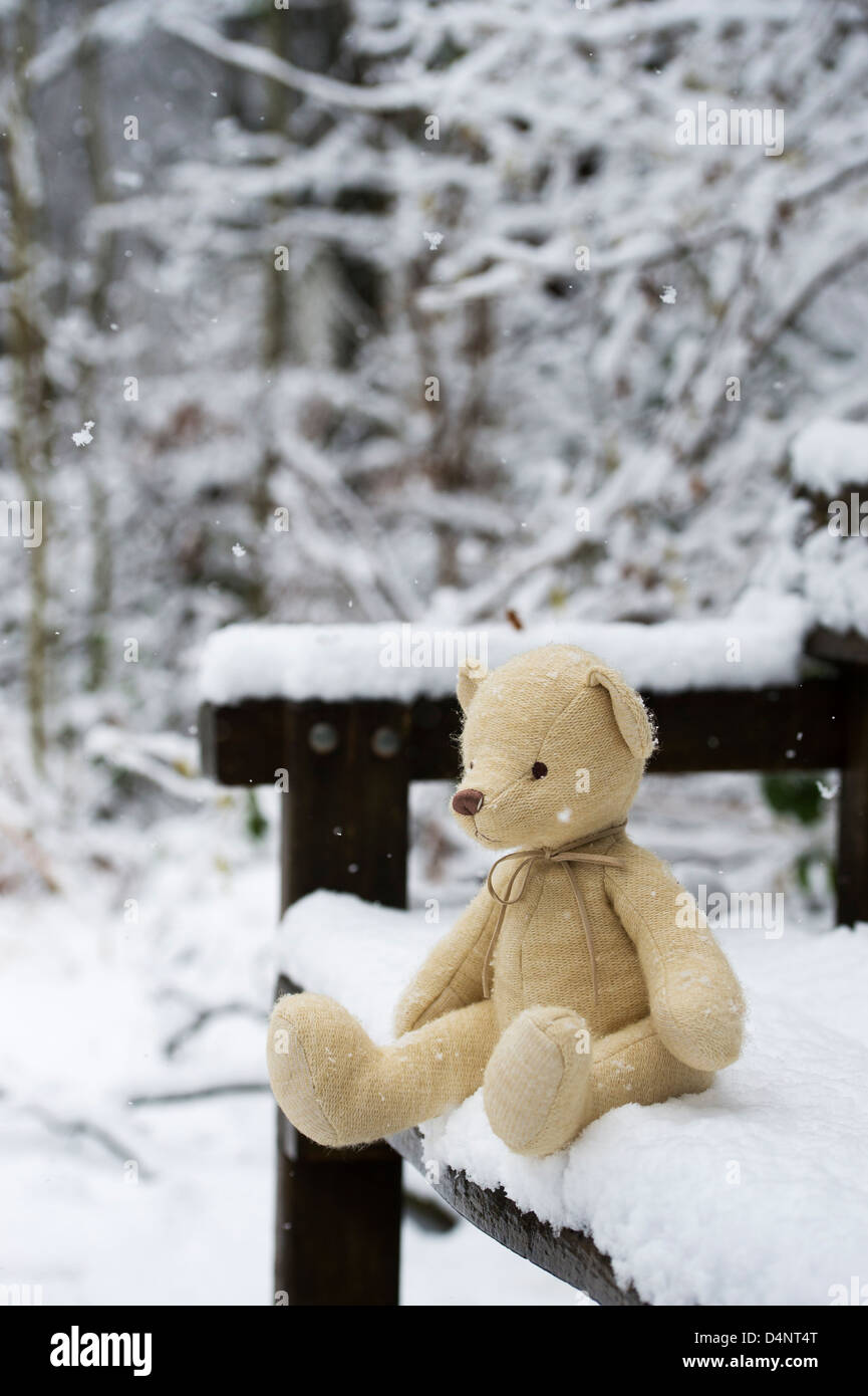 Ours en peluche sur un banc dans la neige dans une forêt en anglais Banque D'Images