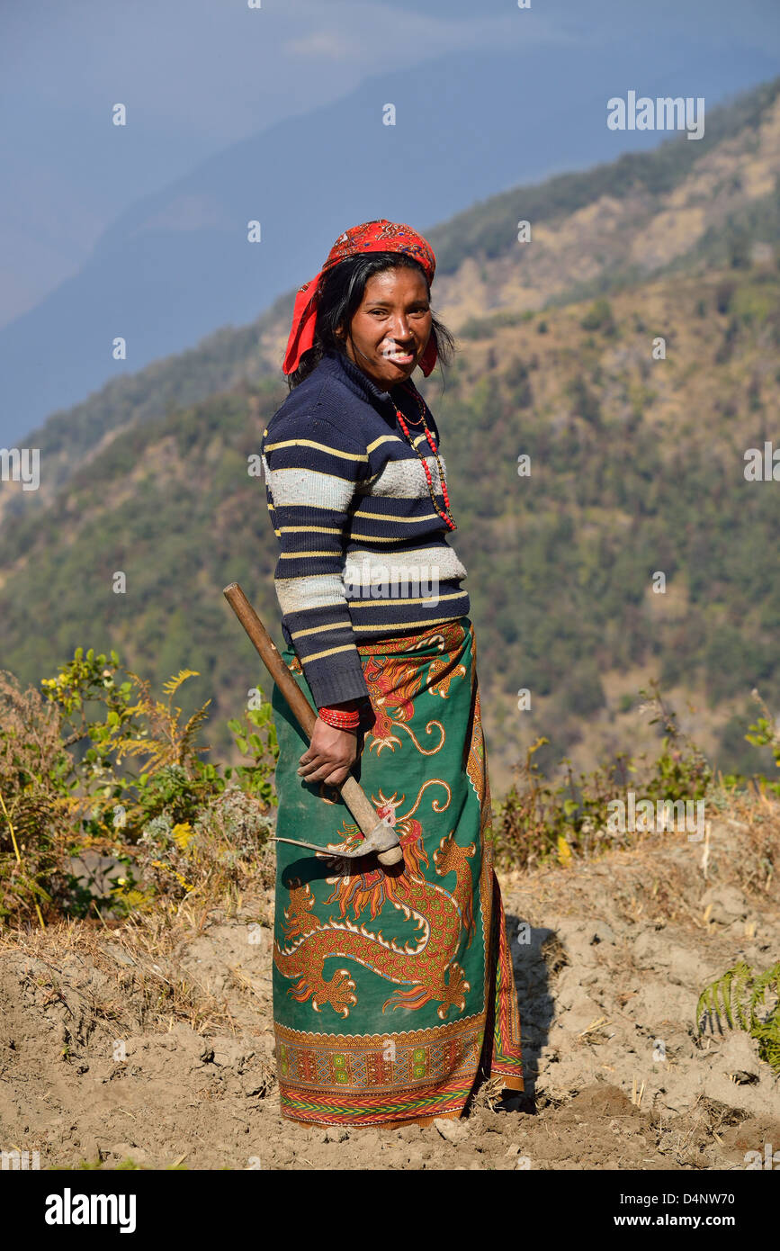 Travailleur paysan(Intouchables) avec hoe sur terrasse au Népal, de la préparation de la zone Prêt pour la plantation. Banque D'Images