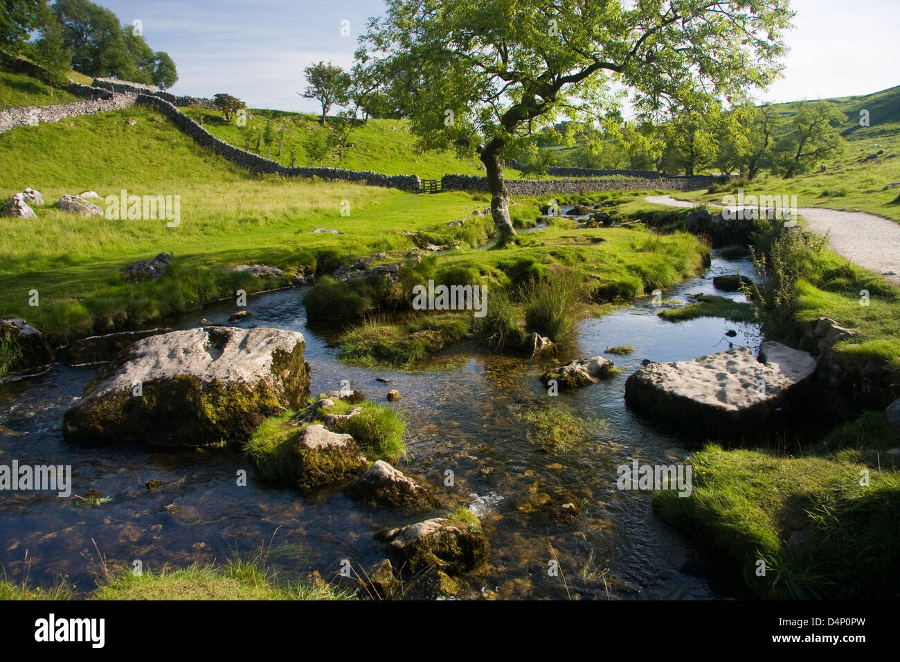 Malham Beck, Yorkshire Dales National Park, England Banque D'Images