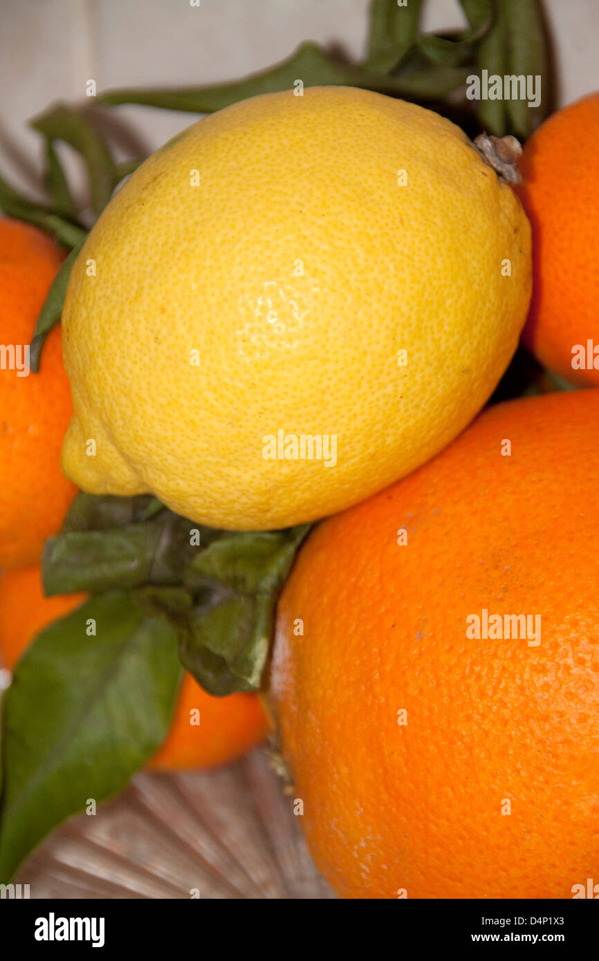 Les oranges et citron Banque D'Images