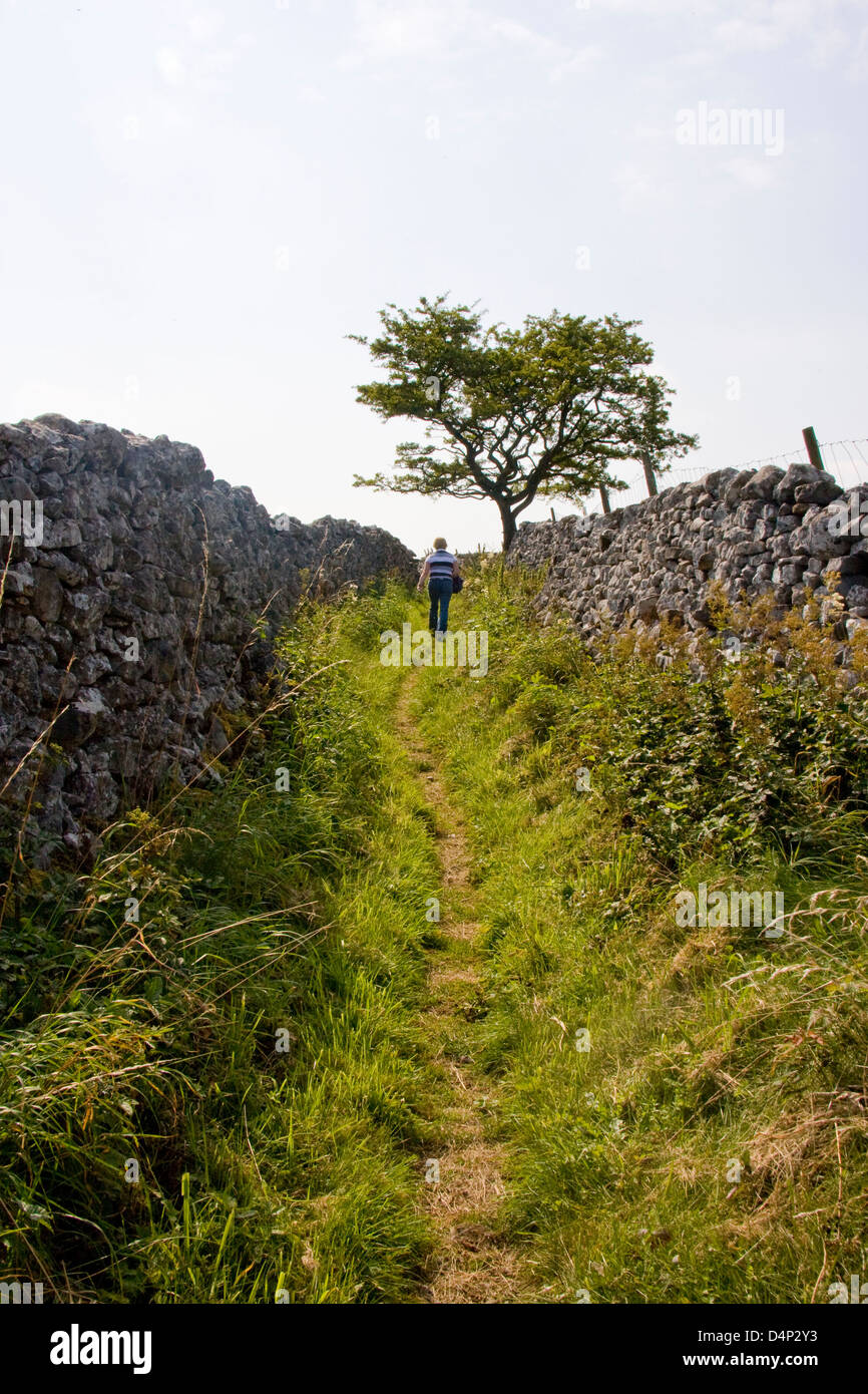 Sentier étroit entre les murs de pierres sèches près de Thorpe Lane, Linton, Yorkshire du Nord Banque D'Images