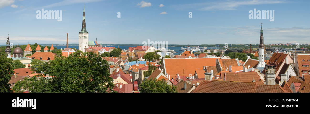 City Skyline Panorama, Tallinn, Estonie Banque D'Images