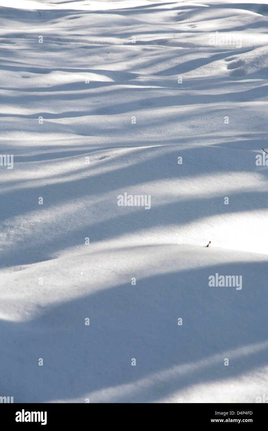 Schéma de l'ombre et la lumière sur la surface de la neige Banque D'Images