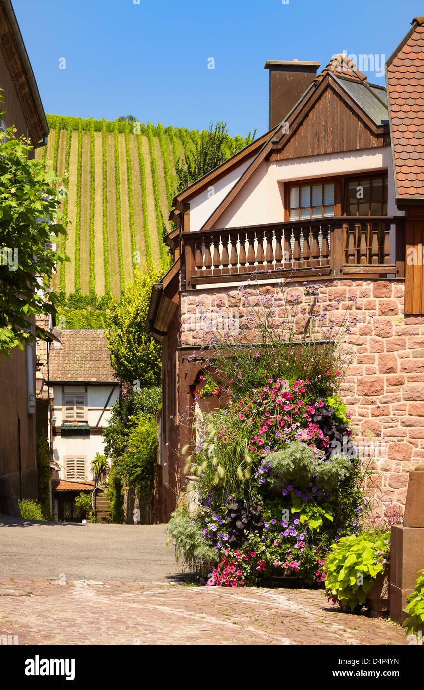 Riquewihr. Route des vins d'Alsace. Haut-Rhin. L'Alsace. France Banque D'Images