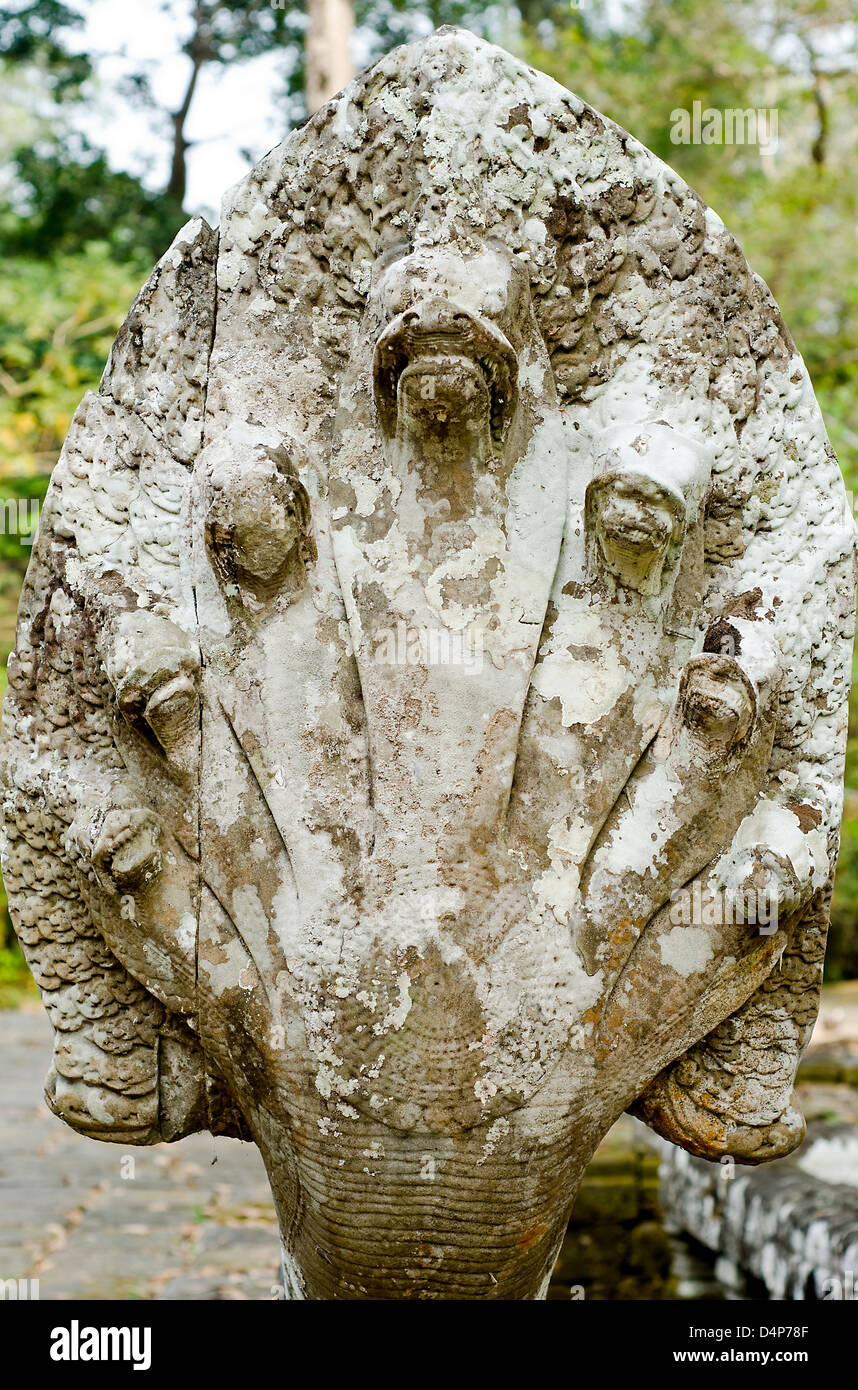 Naga Pierre à Banteay Prei Angkor Cambodge,complexe Banque D'Images