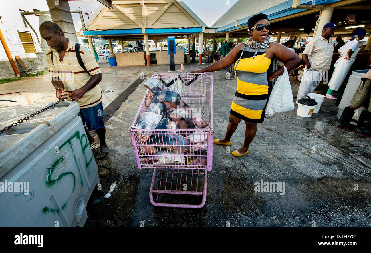 Une femme et un homme d'acheter du poisson avec un panier rempli de thon frais au marché aux poissons de Bridgetown, Barbados, Caribbean Banque D'Images