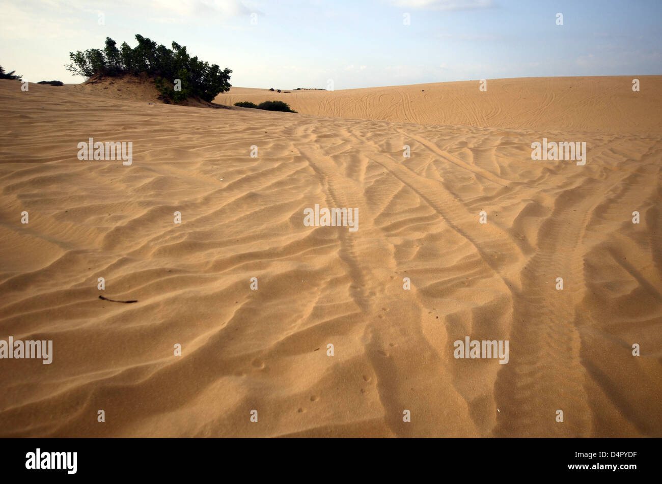 Desert sand dune Banque D'Images