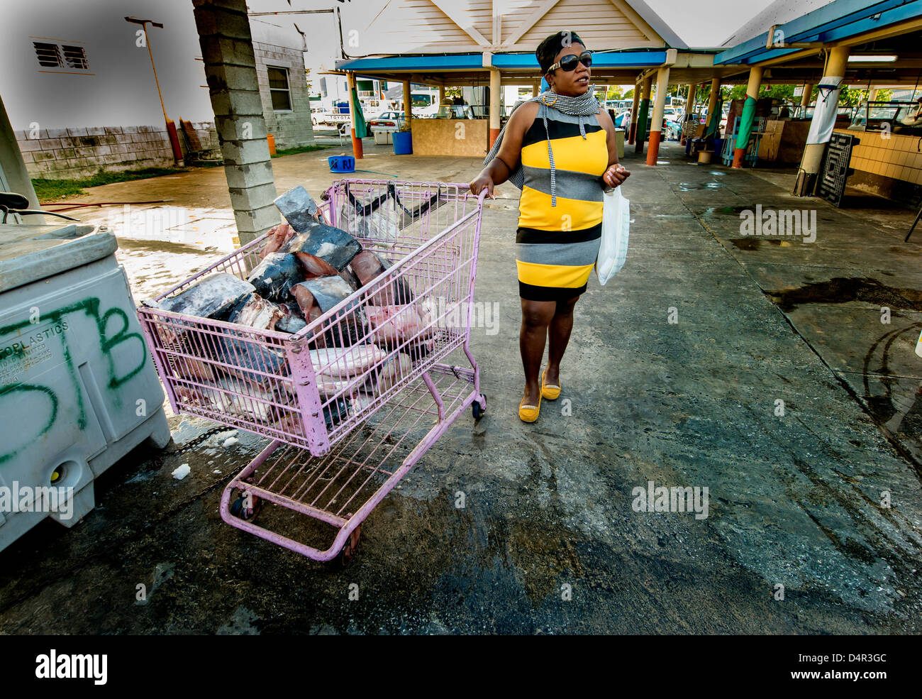 Une femme d'acheter du poisson avec un panier rempli de thon frais au marché aux poissons de Bridgetown, Barbados, Caribbean Banque D'Images