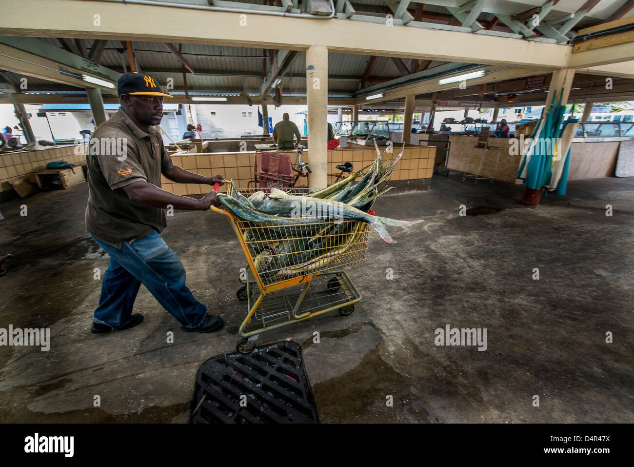 Un homme pousse un panier rempli de produits frais dolphin (mahi-mahi) à Bridgetown à la Barbade, marché aux poissons, des Caraïbes Banque D'Images