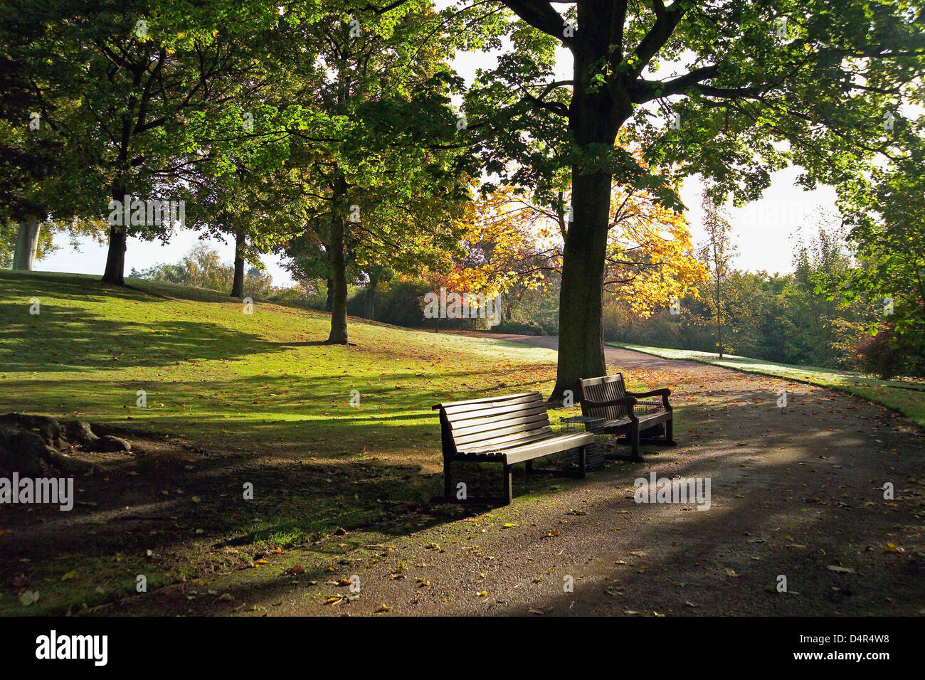 Royal Botanic garden avec des bancs de parc en automne Banque D'Images