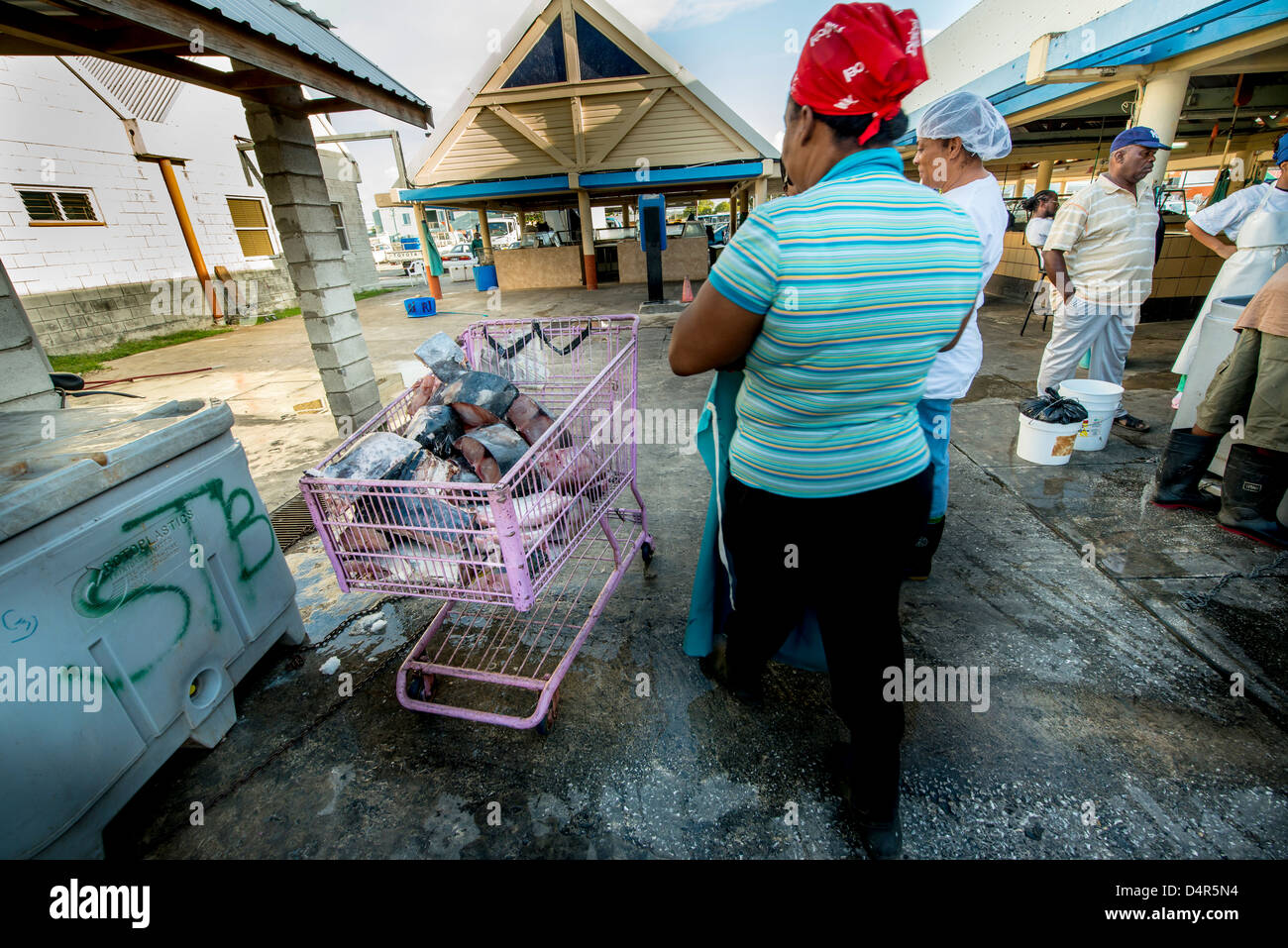 Les femmes sont autour de l'achat des poissons avec un panier rempli de thon frais au marché aux poissons de Bridgetown, Barbados, Caribbean Banque D'Images