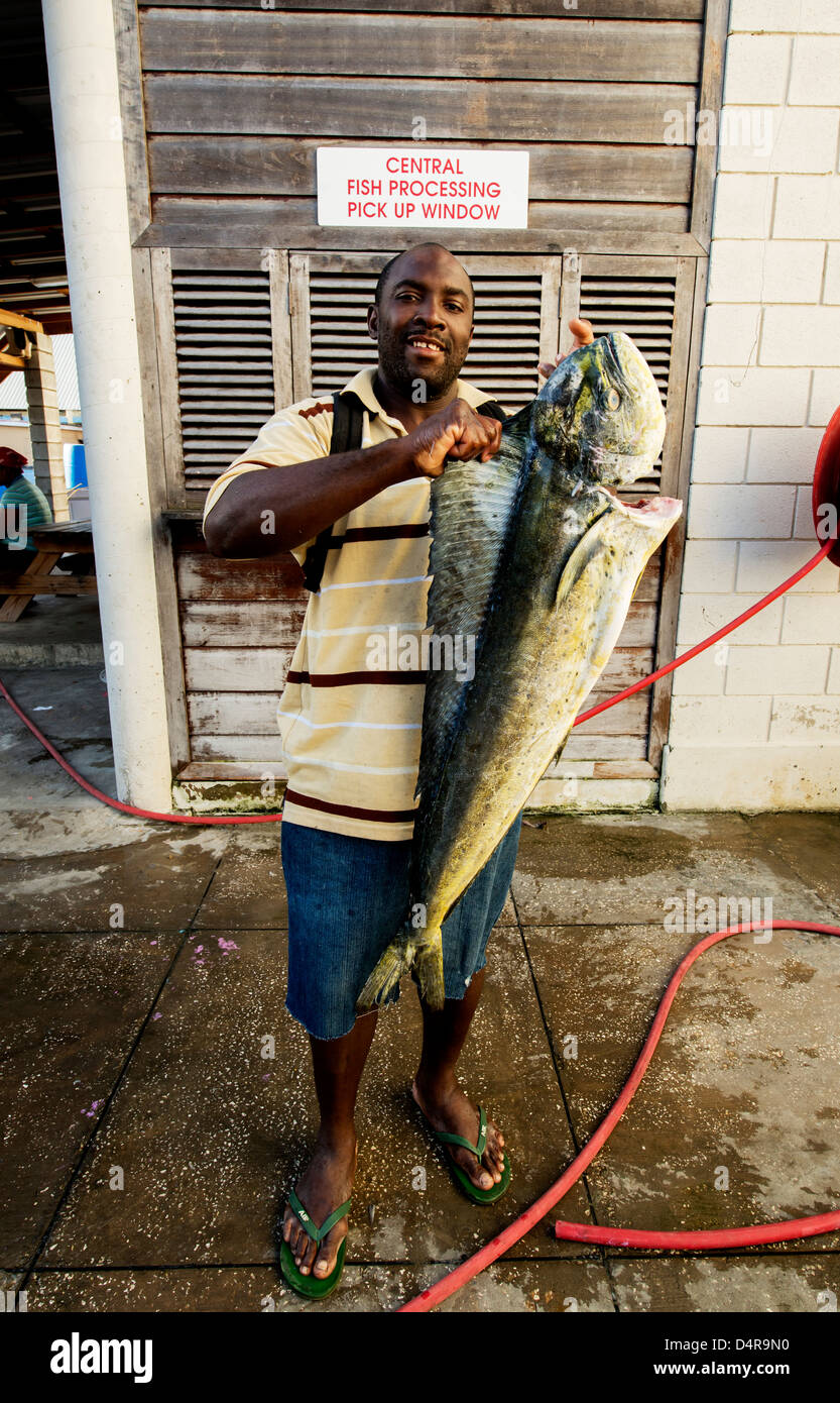 Un homme tient fièrement un dauphin frais (mahi-mahi) à Bridgetown, Barbade, marché aux poissons Caraïbes Banque D'Images