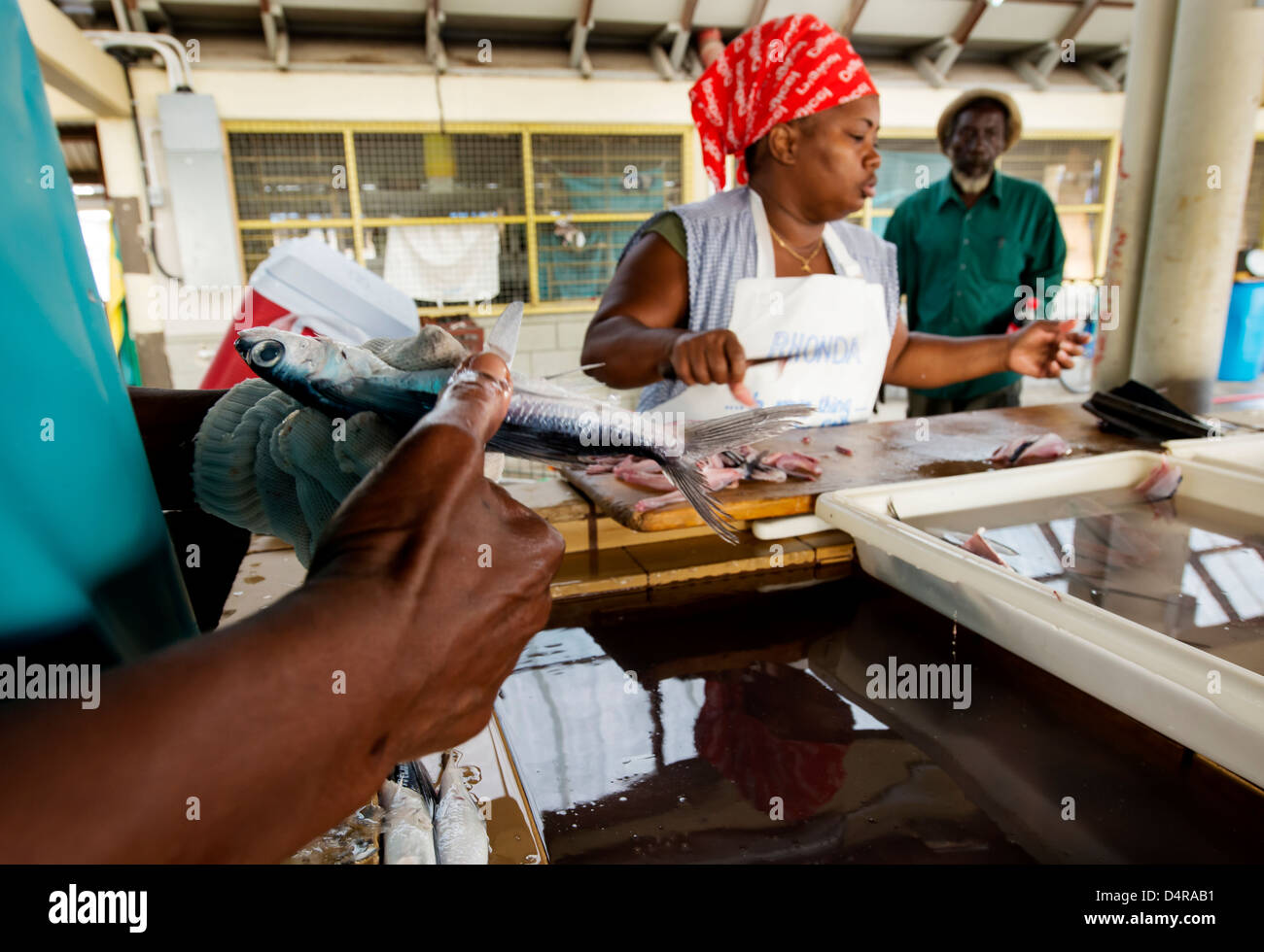 L'intestin des poissons volants femmes frais dans le marché aux poissons de Bridgetown, Barbados, Caribbean Banque D'Images