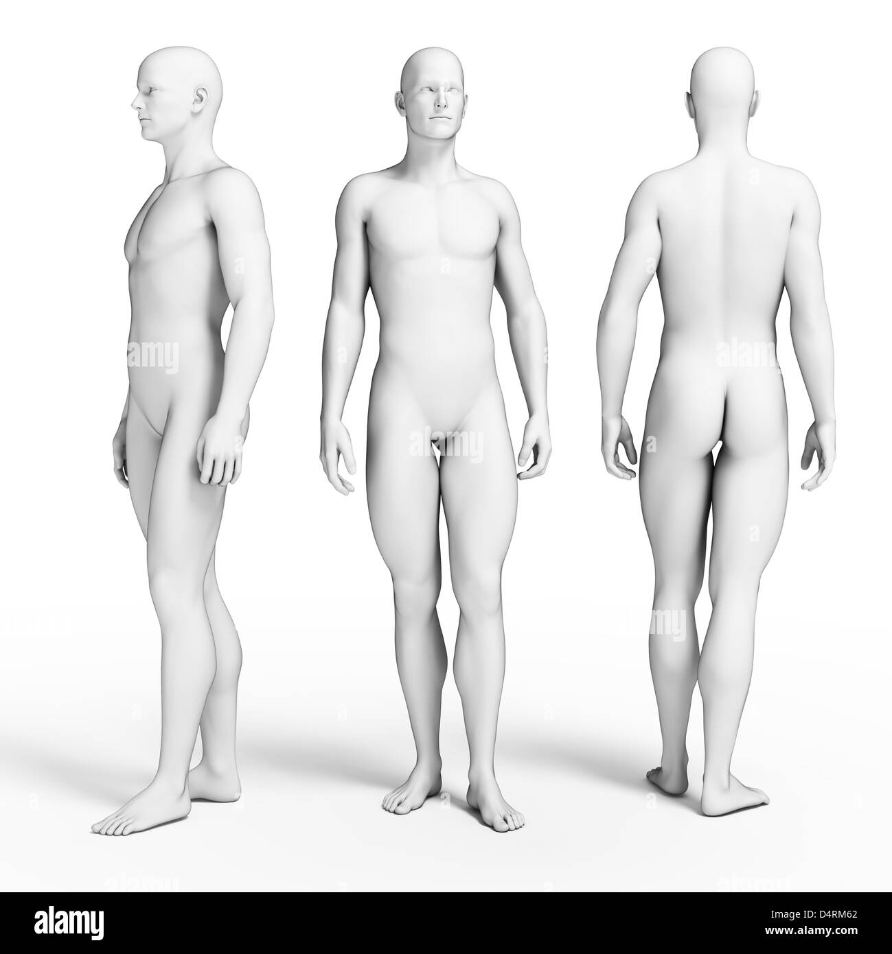 Gars moyens Banque D'Images