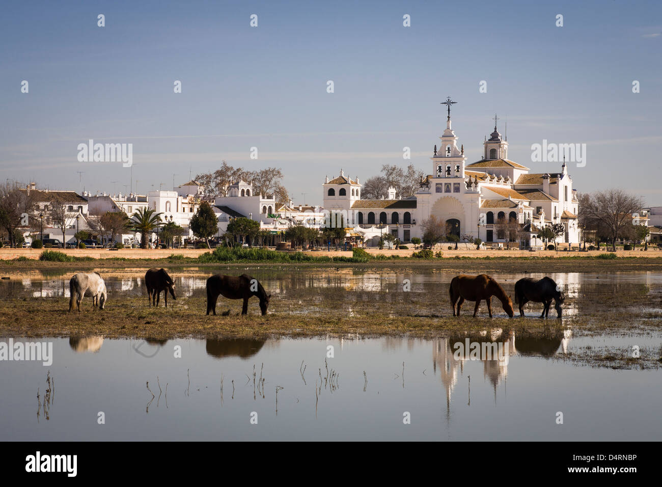 Église de El Rocío, Almonte, Huelva, Espagne, le pâturage des chevaux Banque D'Images