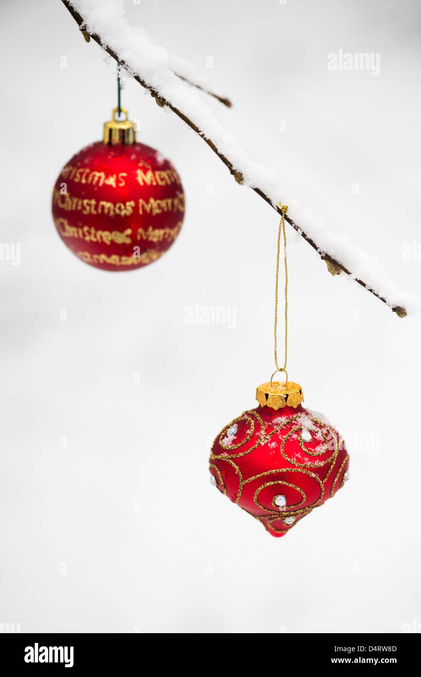 Décorations de Noël / baubles hanging sur une branche d'arbre dans la neige Banque D'Images
