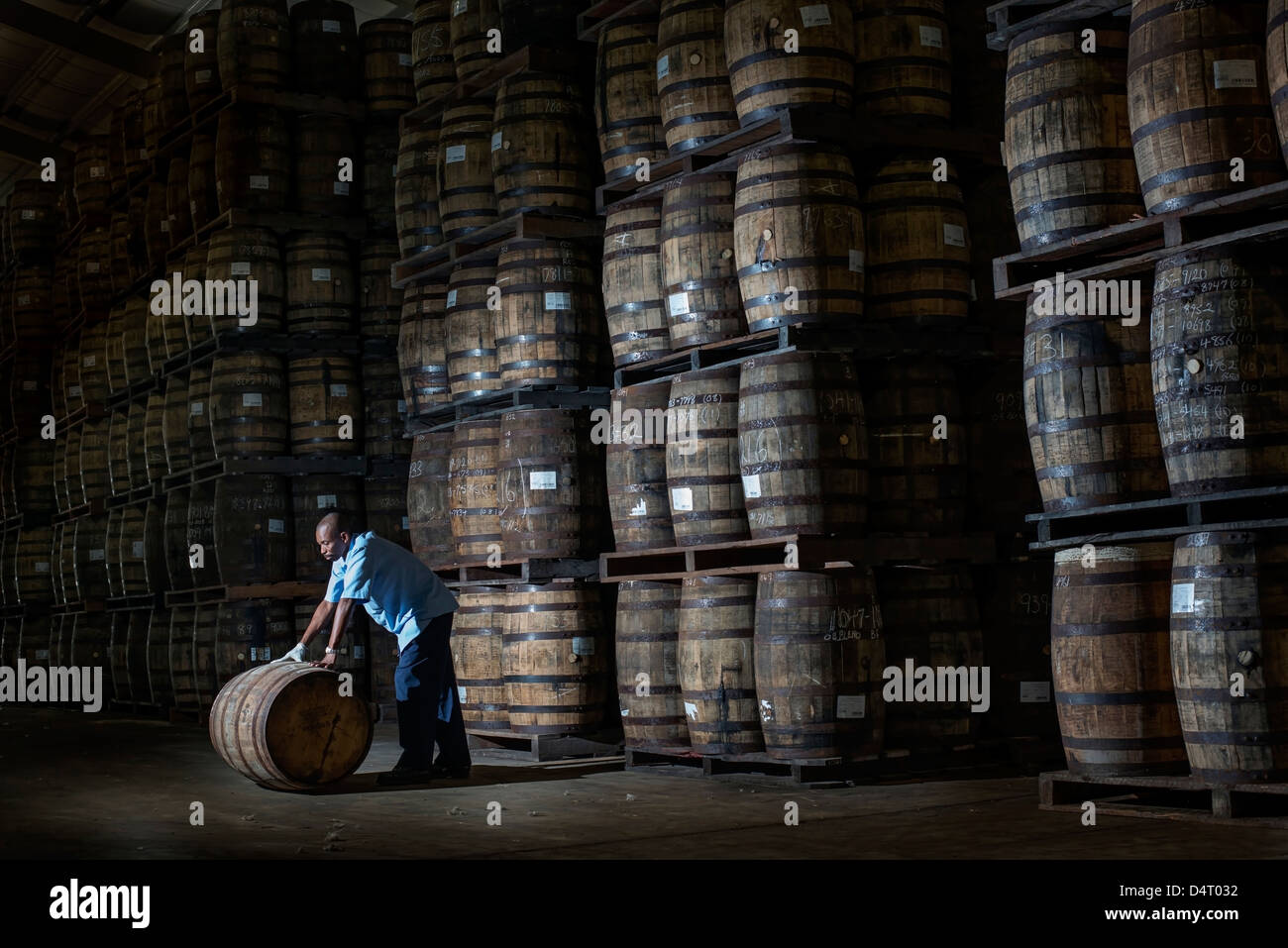 Un travailleur distillerie déménagement des tonneaux de bois à la Mount Gay Rum Distillery en paroisse St Lucie, Barbade, Caraïbes Banque D'Images