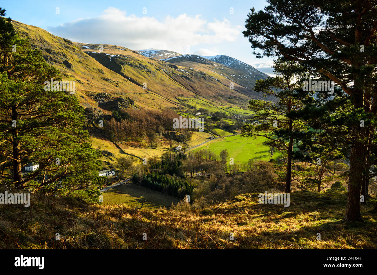 Helvellyn de Wren Crag sur High Rigg dans le Lake District Banque D'Images