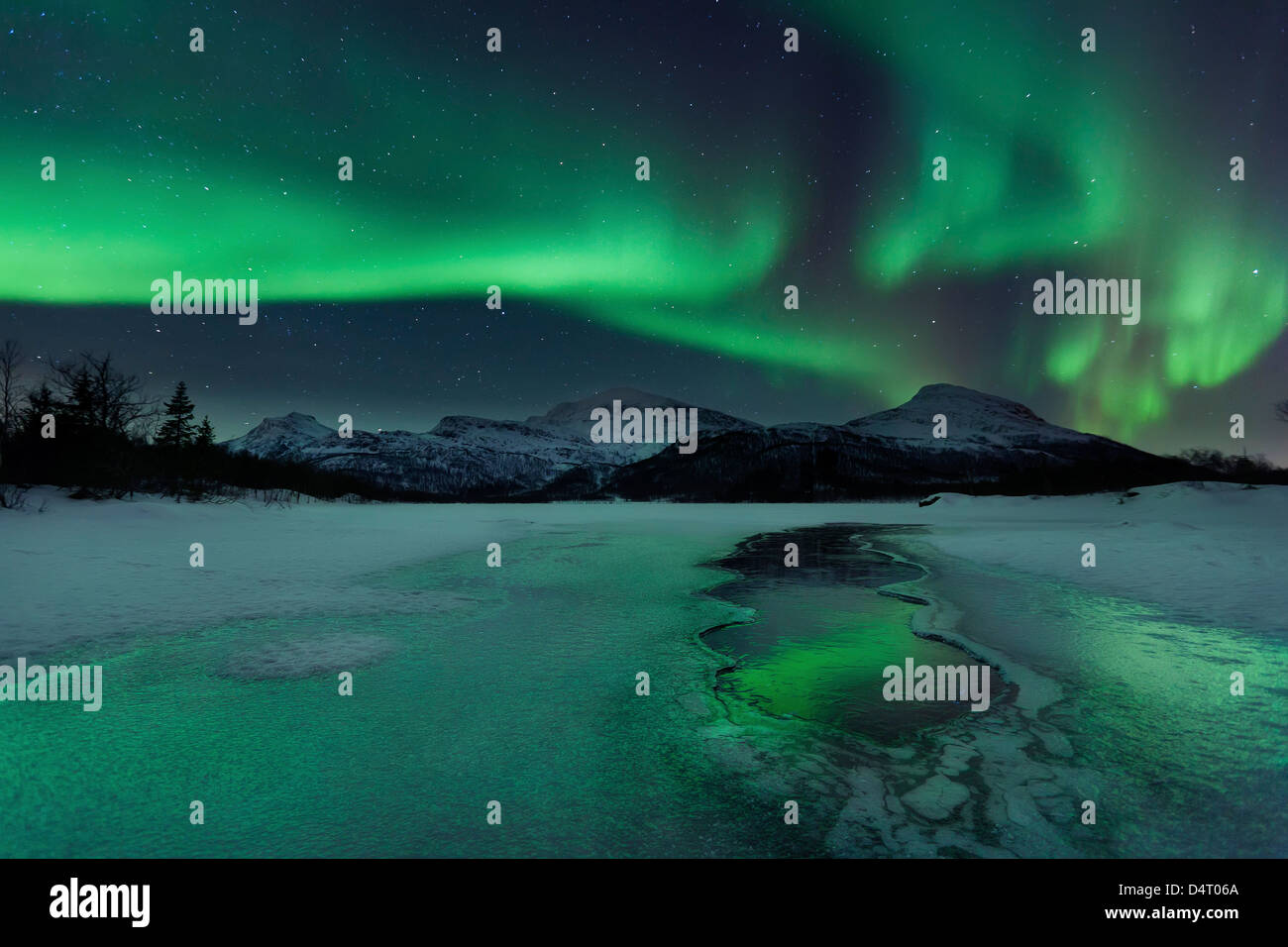 Aurora reflète sur un lac gelé Laksa, Nordland, Norvège. Banque D'Images