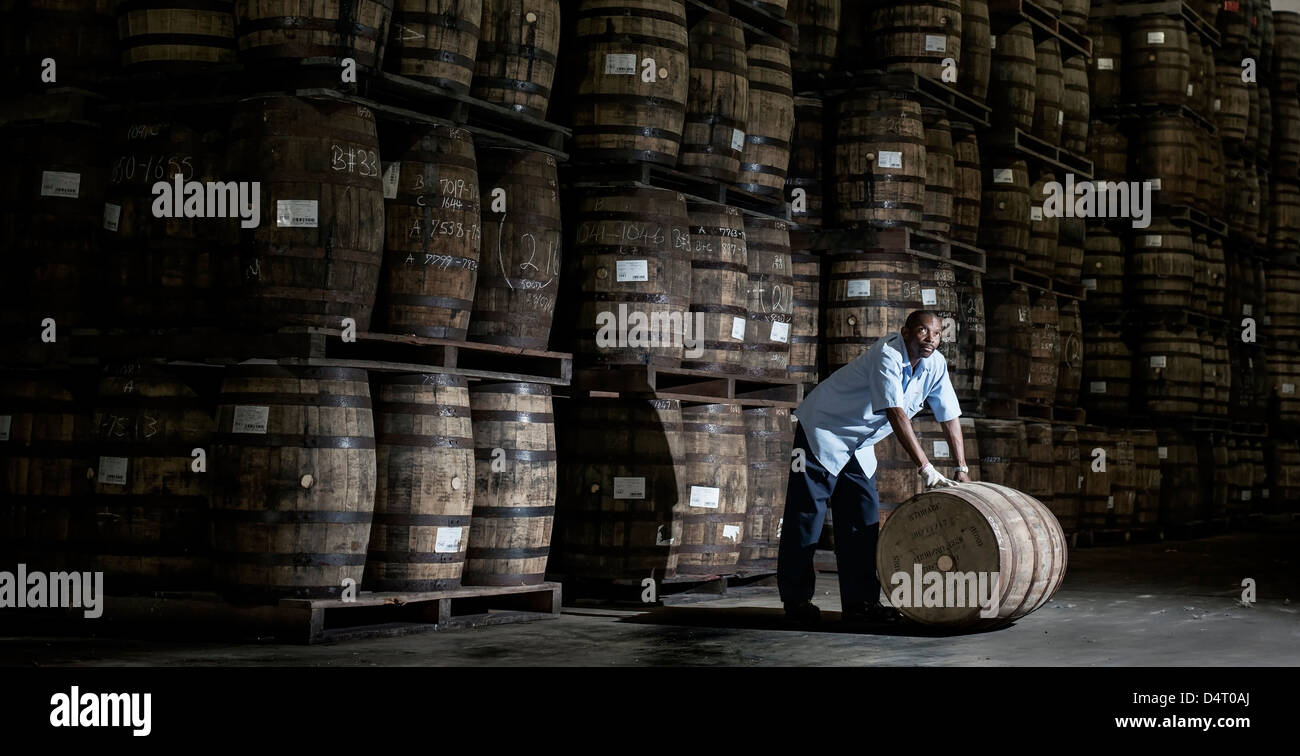 Un travailleur distillerie déménagement des tonneaux de bois à la Mount Gay Rum Distillery en paroisse St Lucie, Barbade, Caraïbes Banque D'Images