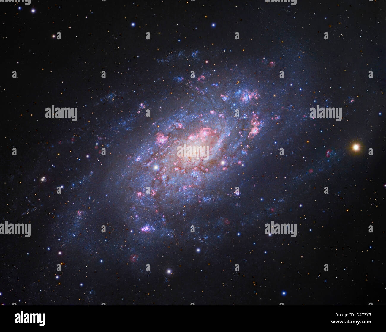 NGC 2403, une galaxie spirale en girafe. Banque D'Images