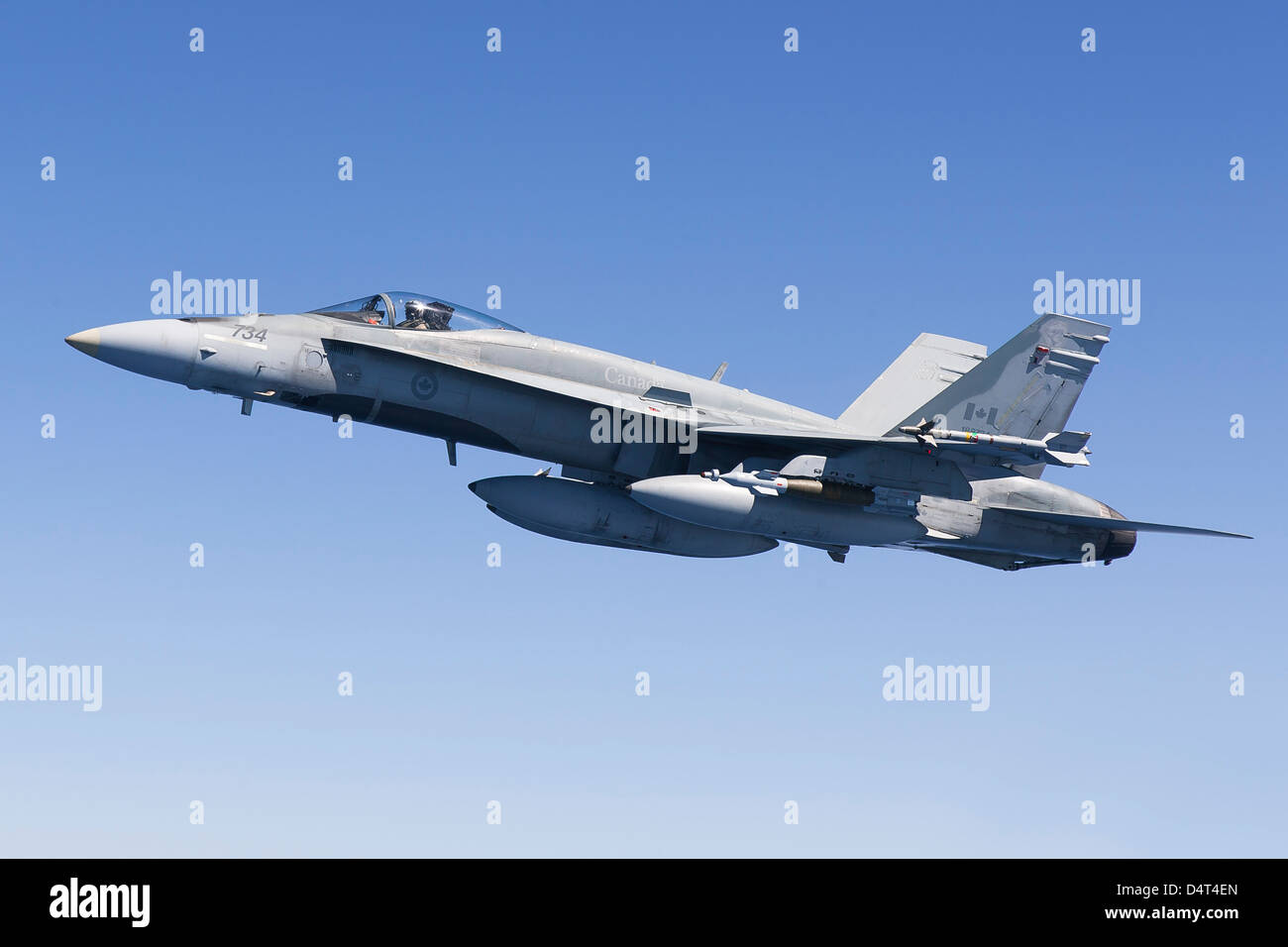 Un CF-188un Hornet de la Royal Canadian Air Force. Banque D'Images