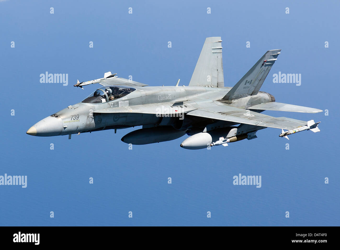 Un CF-188un Hornet de la Royal Canadian Air Force. Banque D'Images