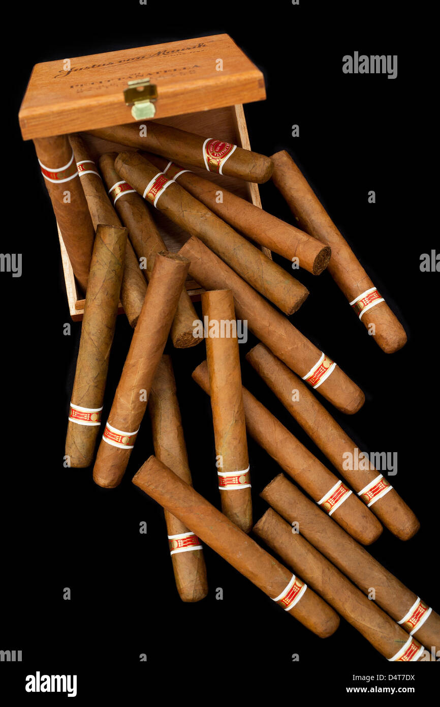 Cigares cubains de la boîte Banque D'Images