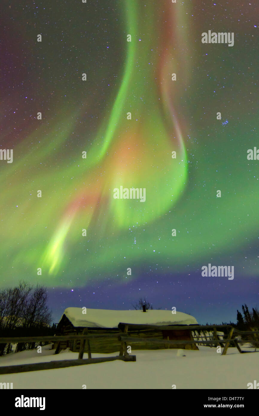 Aurore boréale et la ceinture d'Orion illuminent le ciel au-dessus d'une  cabane à Whitehorse, Yukon, Canada Photo Stock - Alamy