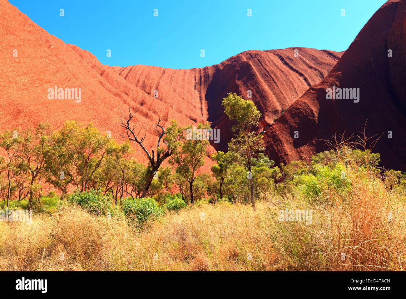 Centrale de l'Outback Australie Territoire du Nord Banque D'Images