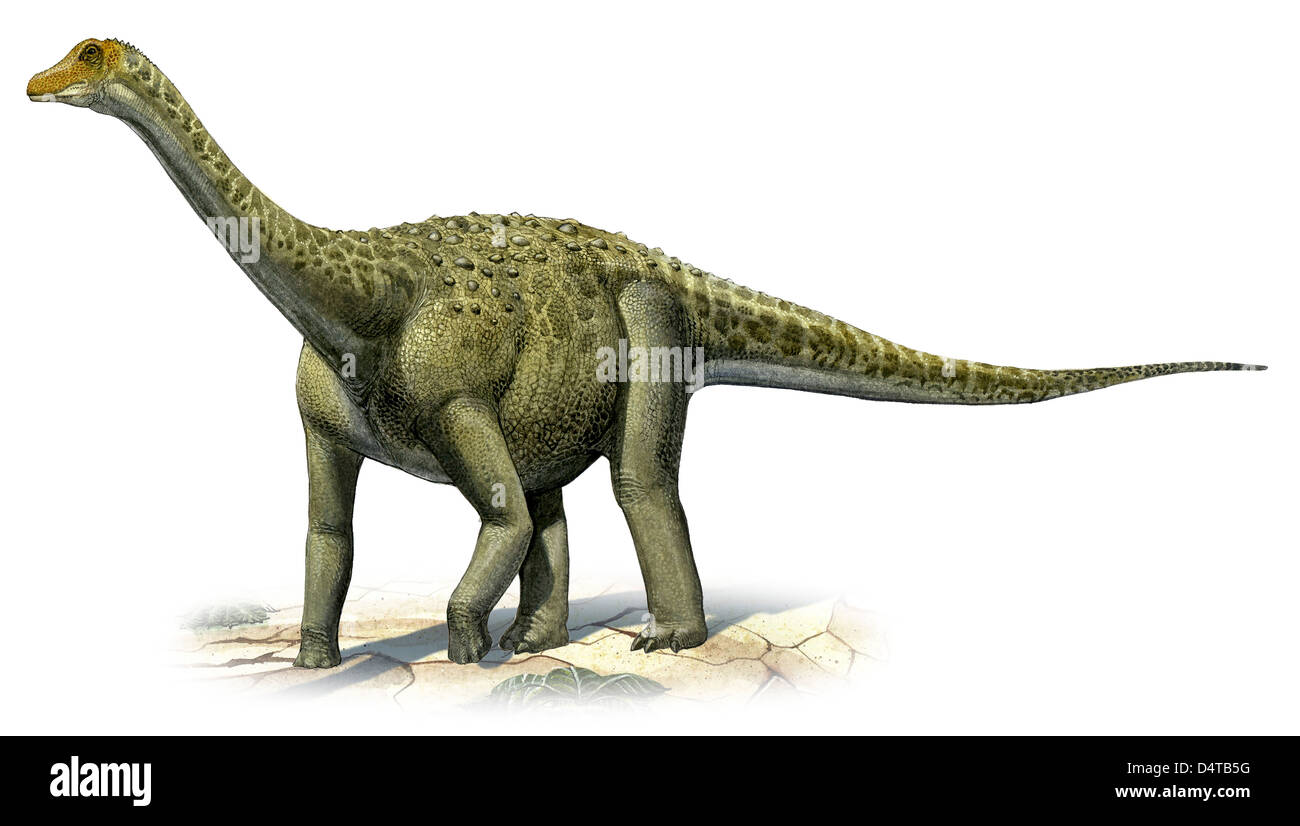 Titanosaurus indicus, un dinosaure préhistoire de la période du Crétacé supérieur. Banque D'Images