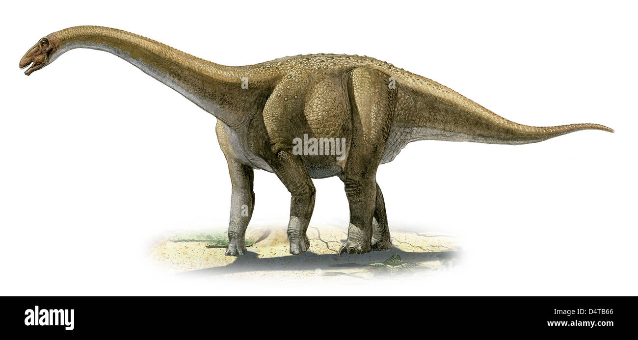 Rapetosaurus krausei, une ère préhistorique dinosaure du Crétacé. Banque D'Images