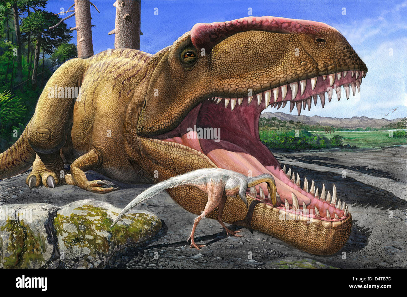 Un Alvarezsaurid bird nettoie la bouche d'un dinosaure Giganotosaurus carolinii. Banque D'Images