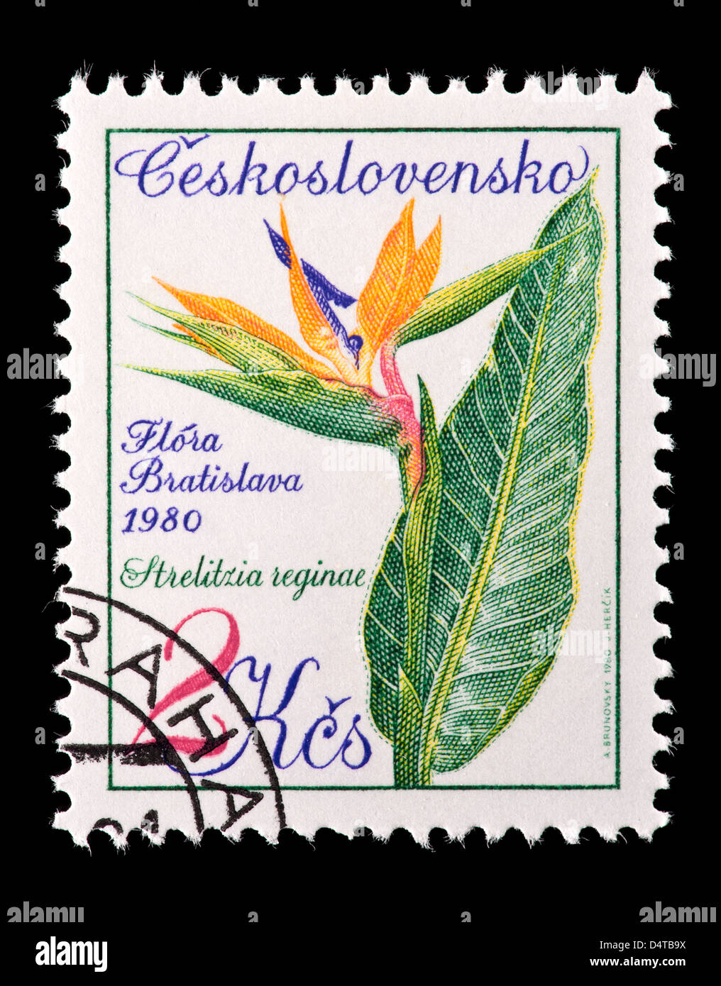 Timbre-poste de la Tchécoslovaquie représentant un oiseau de paradis (Strelitzia reginae) fleurs Banque D'Images