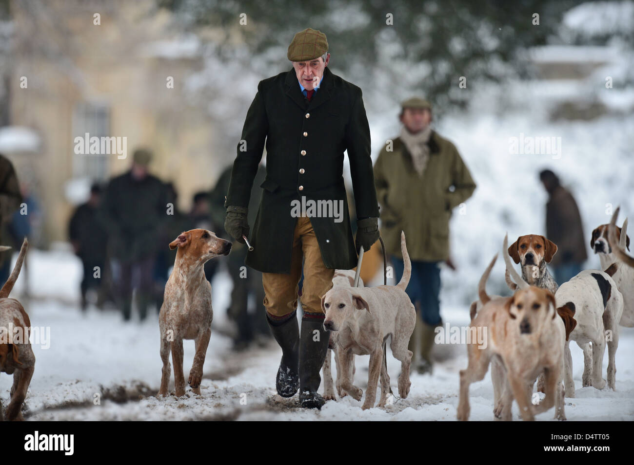 L'exercice de leurs chiens de chasse de Beaufort en Badminton Parc étaient ils n'étaient pas en mesure de chasser en raison de la neige - Tony Huntsman Holdswor Banque D'Images