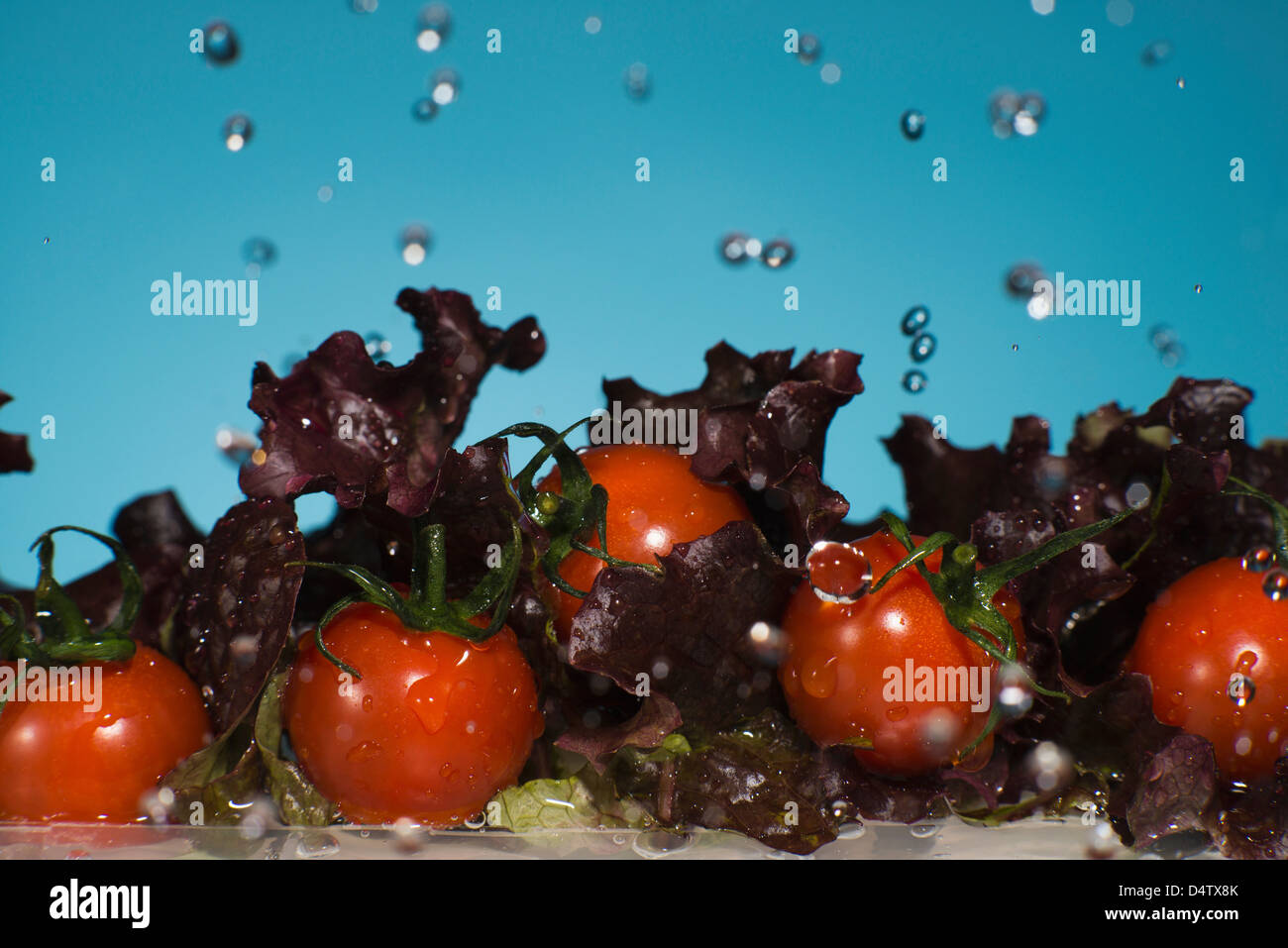 La laitue et les tomates splashing in water Banque D'Images