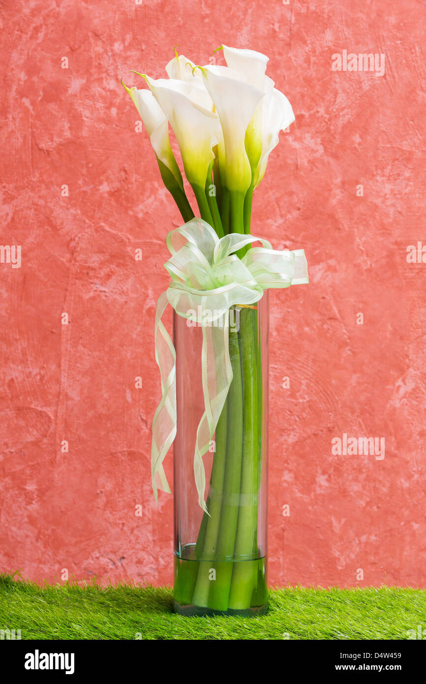 Calla Lily blanc vase en verre avec papillon Banque D'Images