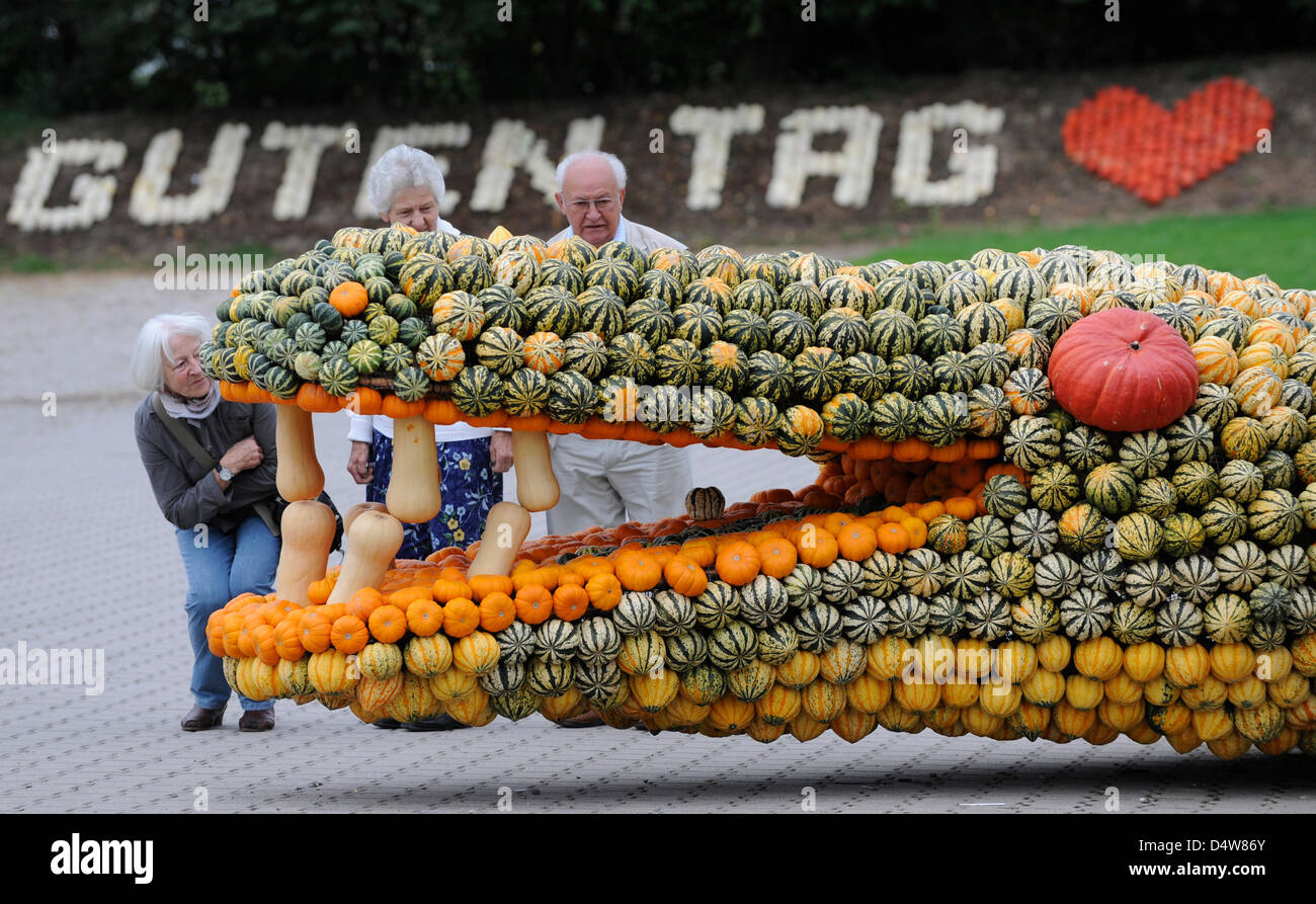Une femme examine un crocodile sculpture made out of pumpkins à Freiburg, Allemagne, 15 septembre 2010. Un fermier transforme une partie de sa récolte en sculptures. Photo : Patrick Seeger Banque D'Images