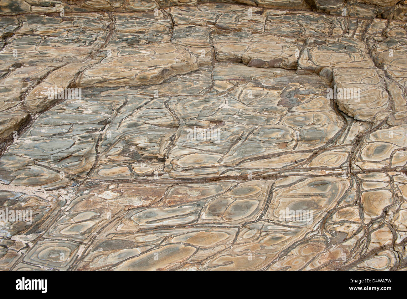 Anneaux de Liesegang dans les roches sédimentaires à Praia da Amoreira la réserve naturelle de la Costa Vicentina Algarve Portugal Europe Banque D'Images